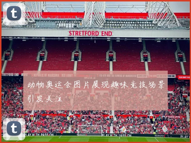 动物奥运会图片展现趣味竞技场景引发关注